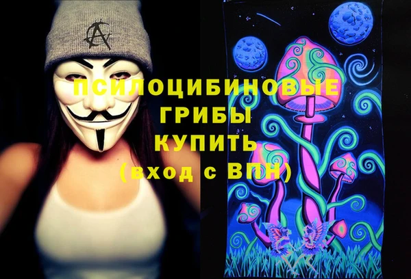 стаф Магадан