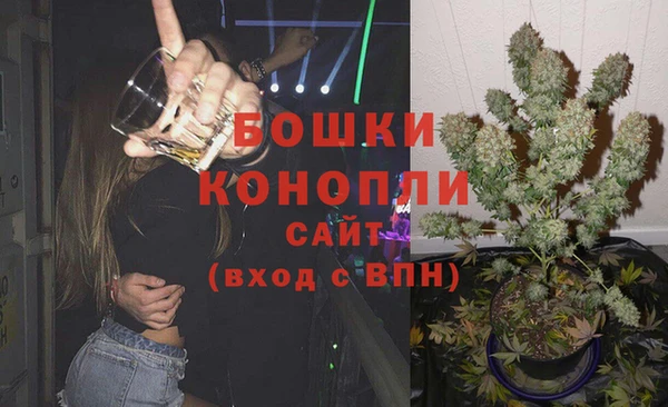 стаф Магадан