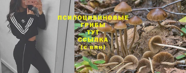 стаф Магадан