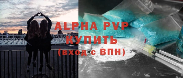 стаф Магадан
